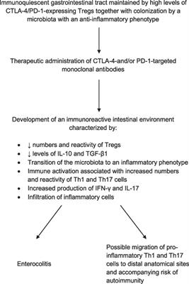 Immune Dysregulation in Cancer Patients Undergoing Immune Checkpoint Inhibitor Treatment and Potential Predictive Strategies for Future Clinical Practice